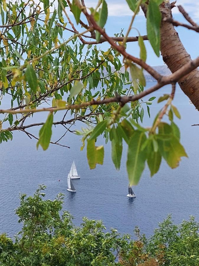 Apartmán Milojka Senj  Exteriér fotografie